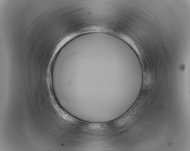 X0000094901098200712201129