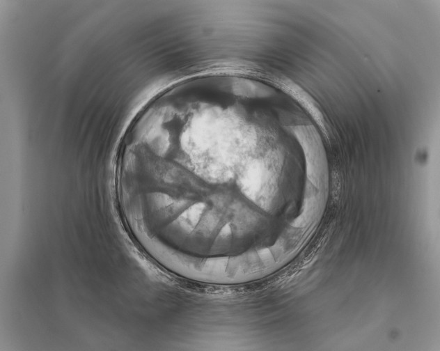 X0000094901099200712201129