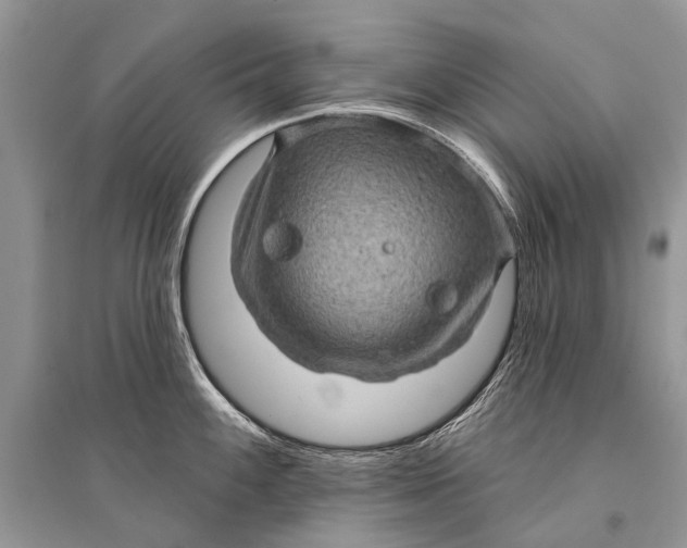 X0000094901100200712201129