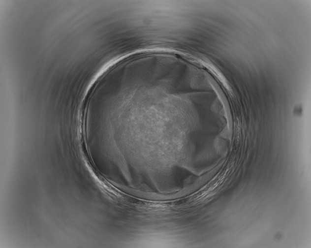 X0000094901101200712201128