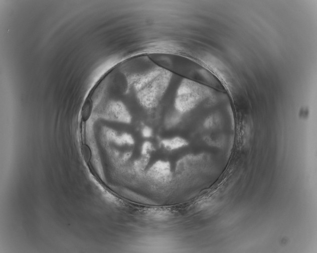 X0000094901103200712201128