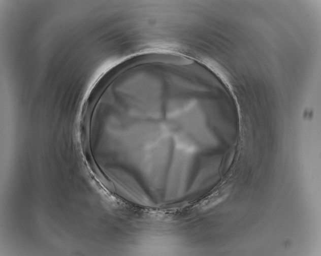 X0000094901104200712201128