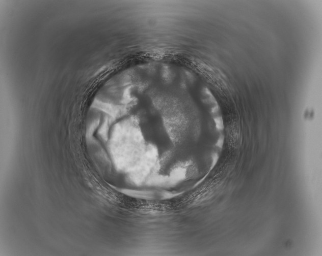 X0000094901105200712201128