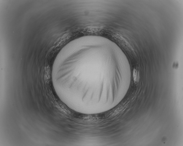 X0000094901107200712201128