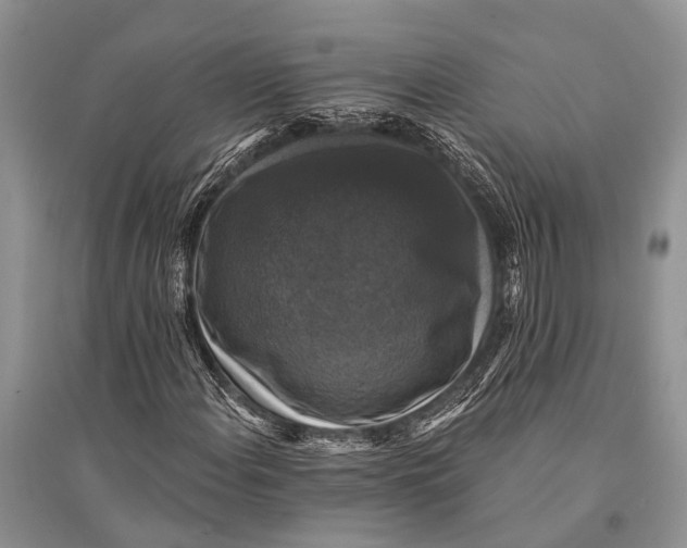 X0000094901108200712201128