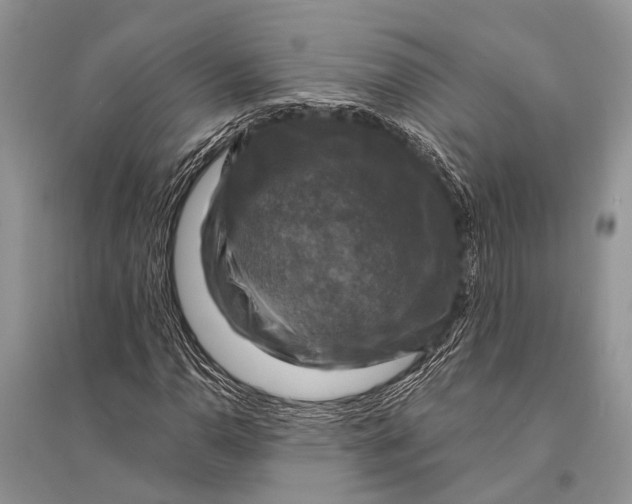 X0000094901110200712201128