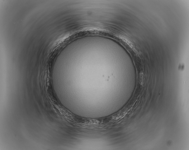 X0000094901111200712201128