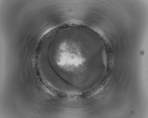 X0000094901112200712201128