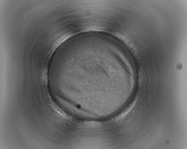 X0000094901113200712201128