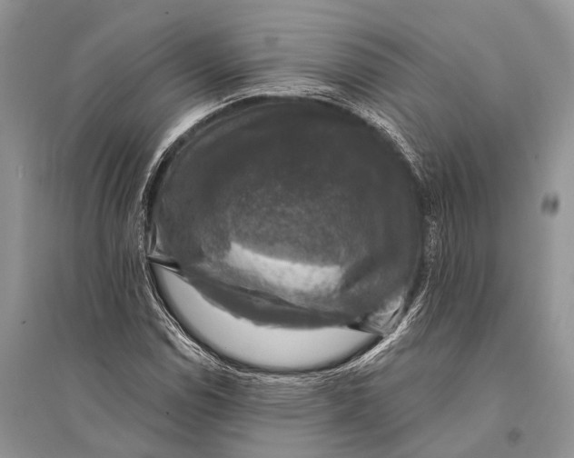 X0000094901114200712201128