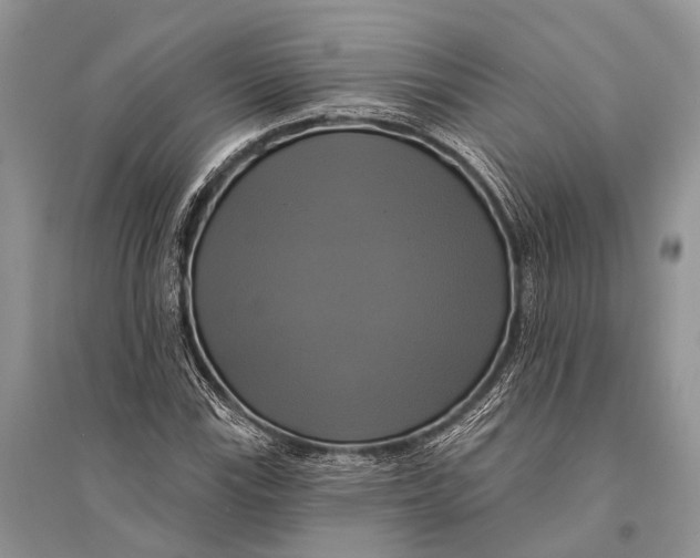 X0000094901115200712201128