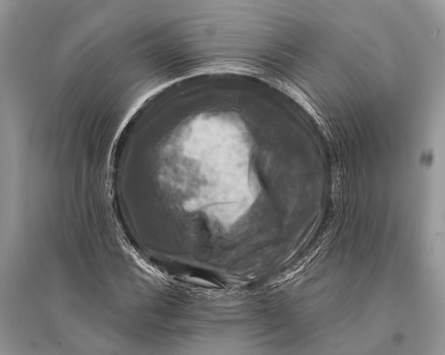 X0000094901116200712201128