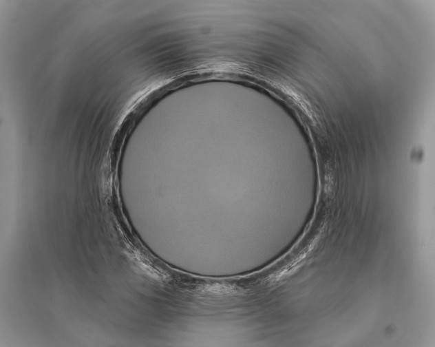 X0000094901117200712201128