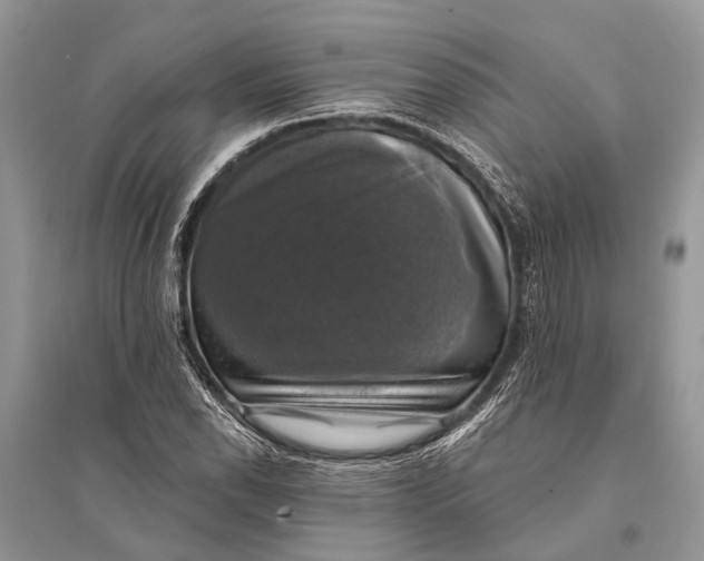 X0000094901118200712201128