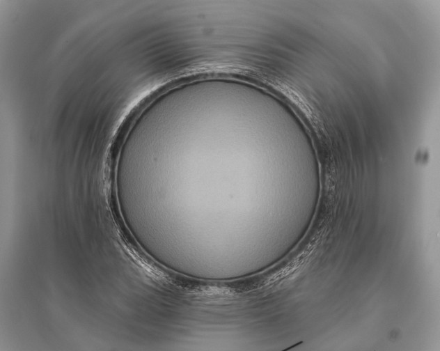 X0000094901119200712201128