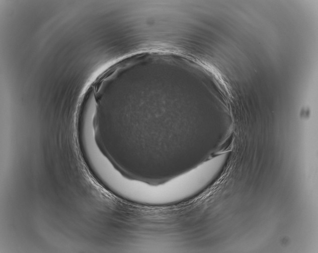 X0000094901120200712201128