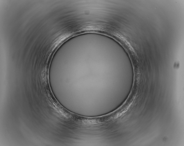 X0000094901121200712201128