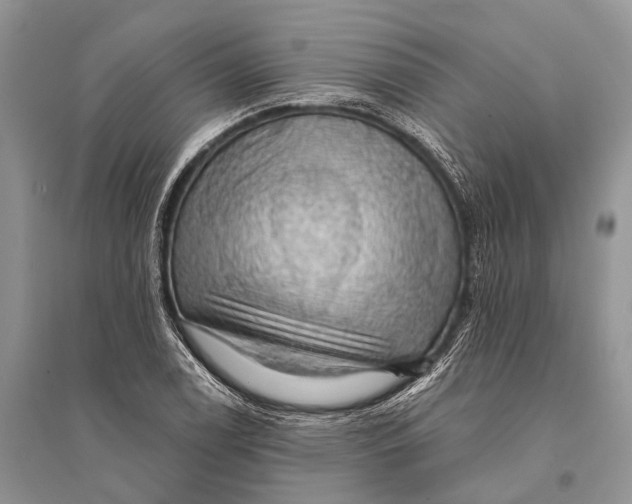 X0000094901122200712201128