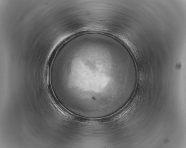 X0000094901123200712201128