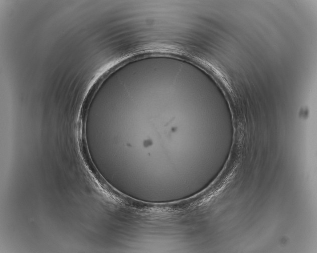 X0000094901125200712201128