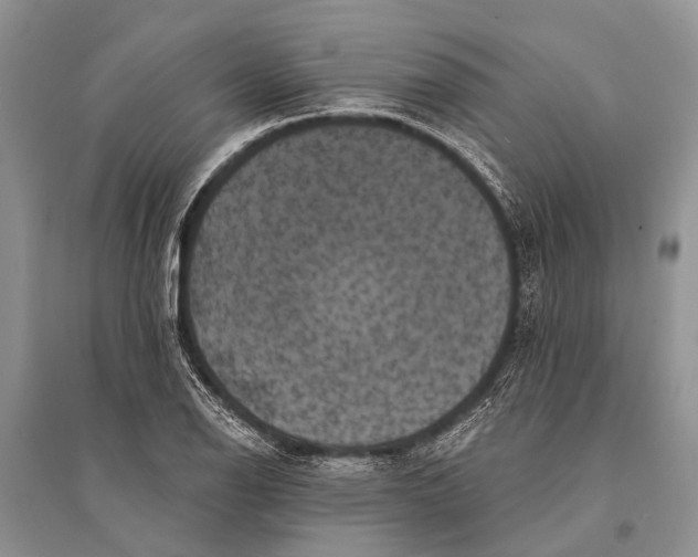 X0000094901126200712201128