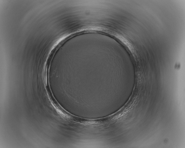 X0000094901127200712201128