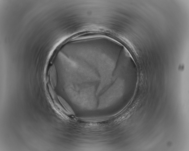 X0000094901128200712201128