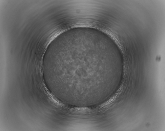 X0000094901129200712201128