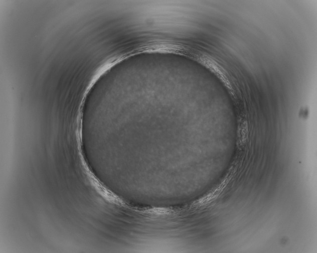 X0000094901130200712201128