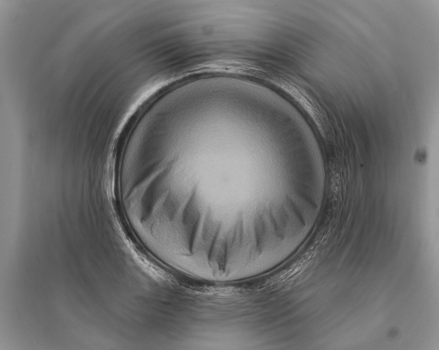 X0000094901131200712201128