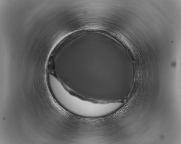 X0000094901132200712201128