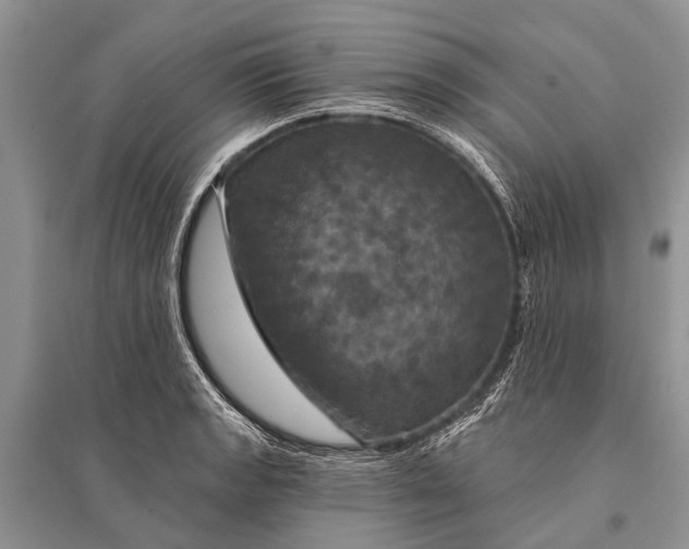 X0000094901133200712201128