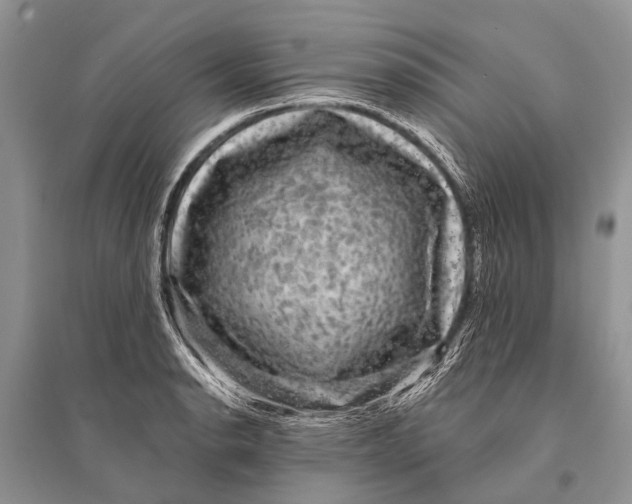 X0000094901134200712201128