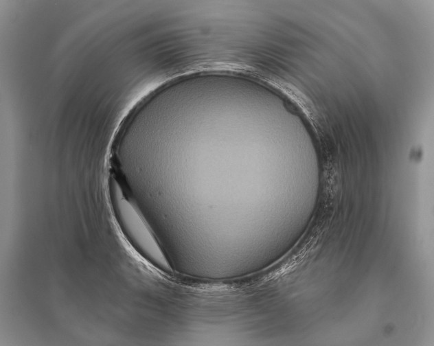 X0000094901135200712201128