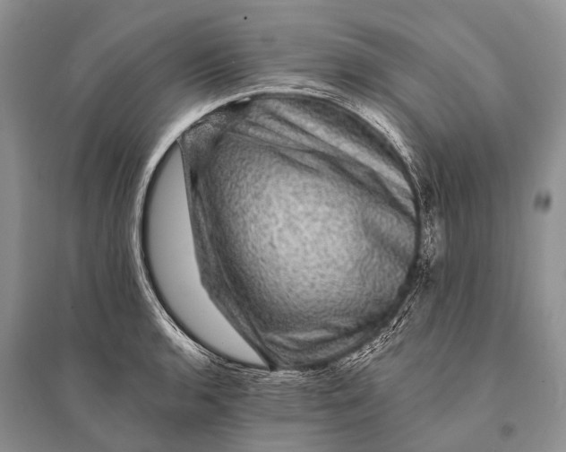 X0000094901136200712201128