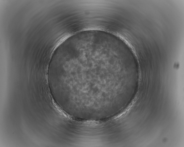 X0000094901137200712201128