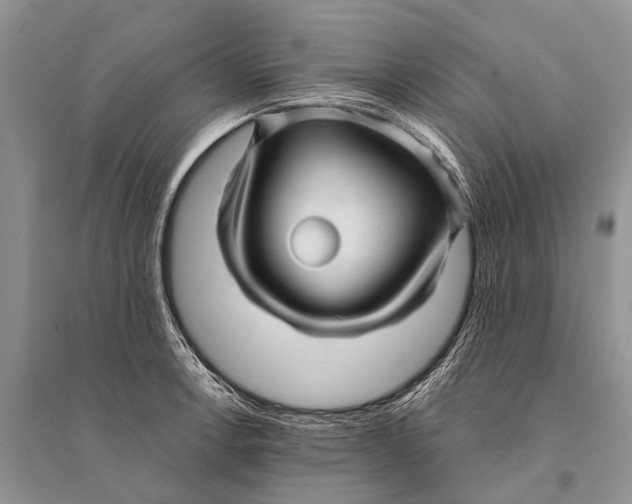 X0000094901138200712201128