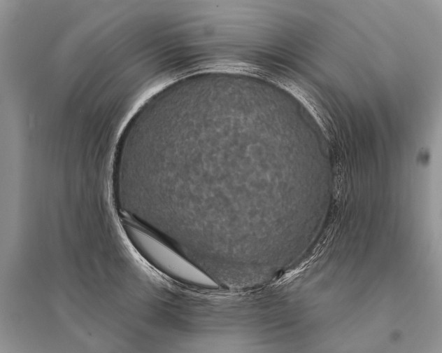 X0000094901139200712201128