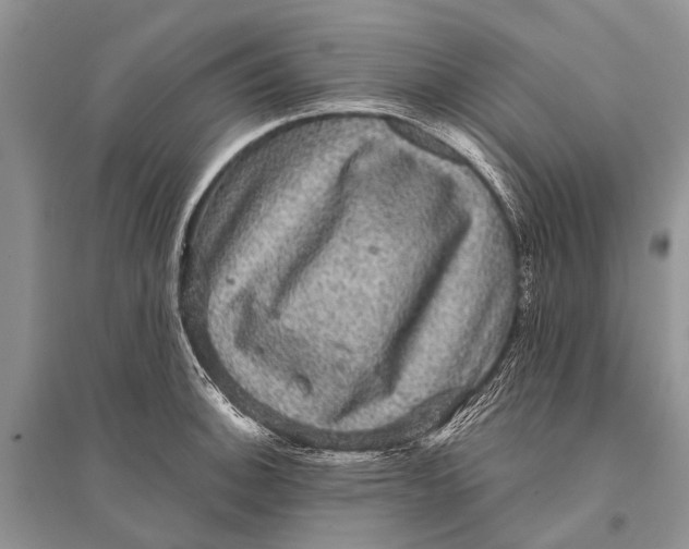 X0000094901140200712201128