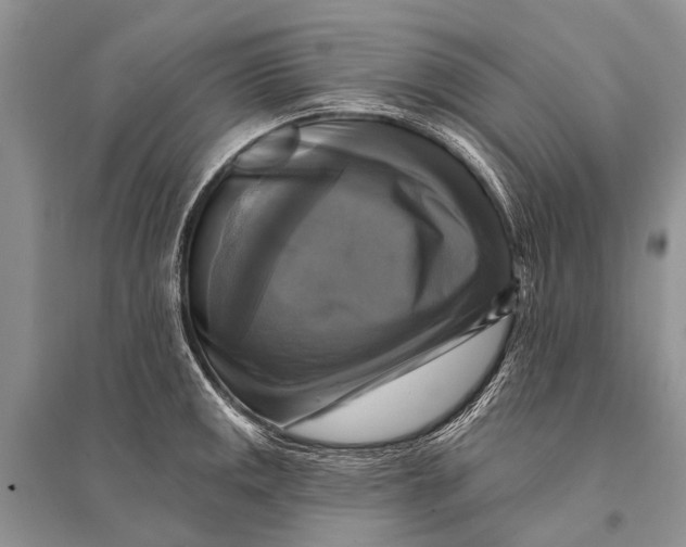 X0000094901141200712201128