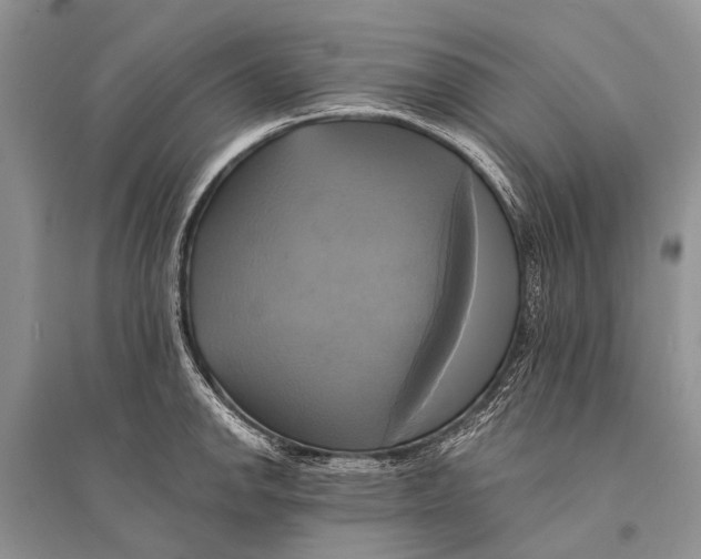 X0000094901142200712201128