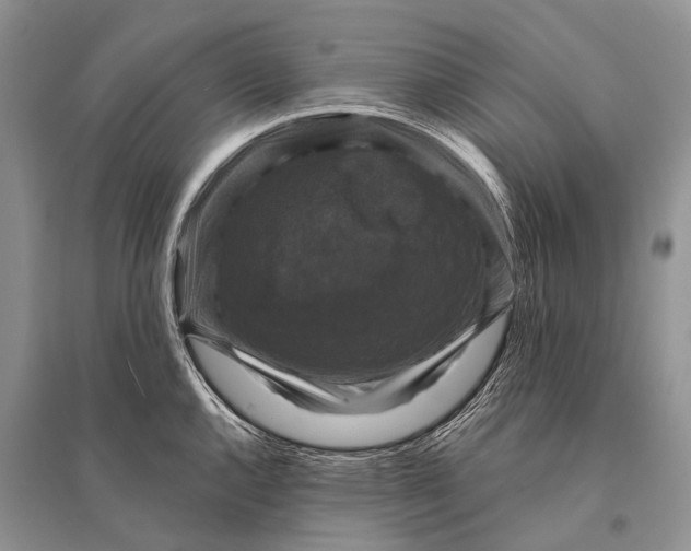 X0000094901144200712201128