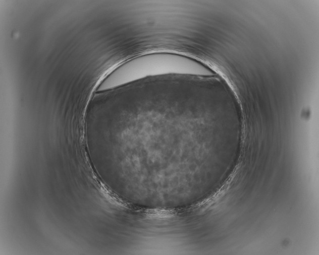 X0000094901145200712201128