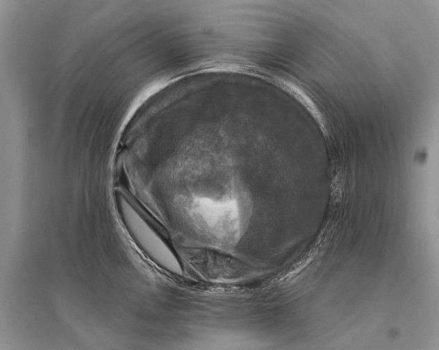 X0000094901146200712201128