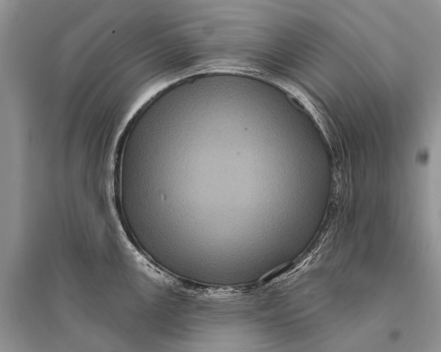 X0000094901147200712201128