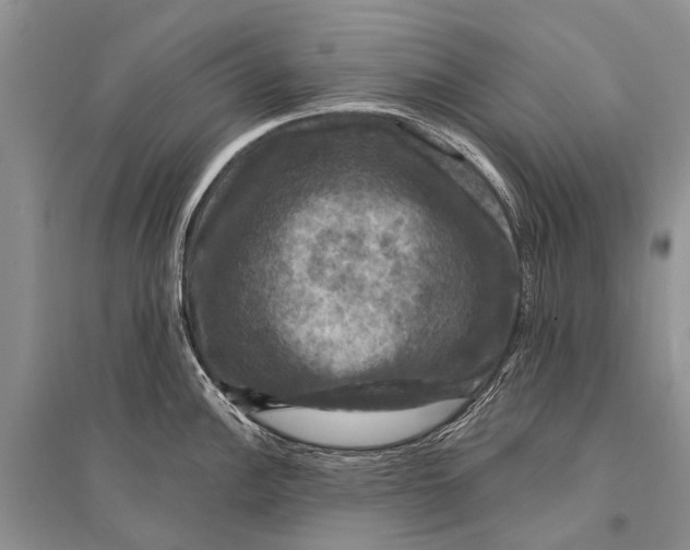 X0000094901148200712201128