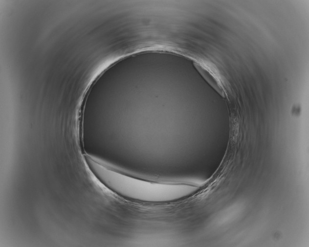 X0000094901151200712201128