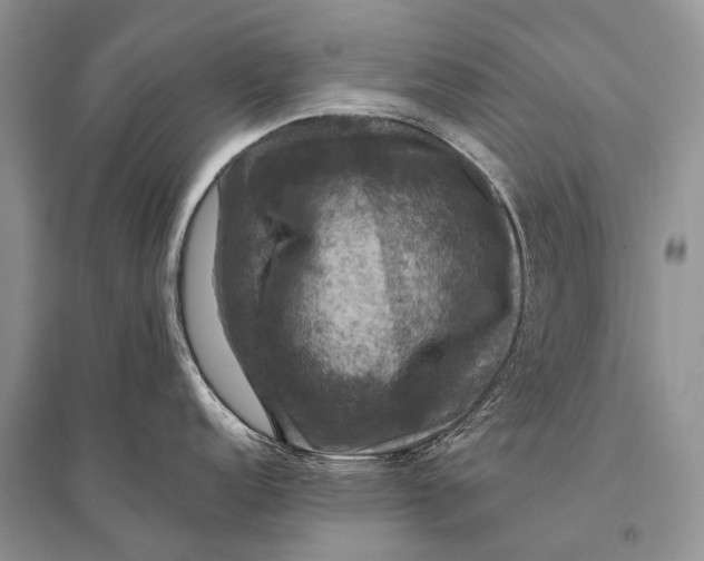 X0000094901152200712201128