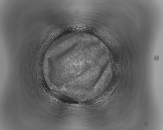 X0000094901153200712201128