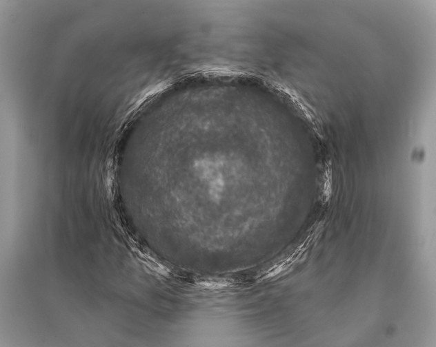 X0000094901157200712201128